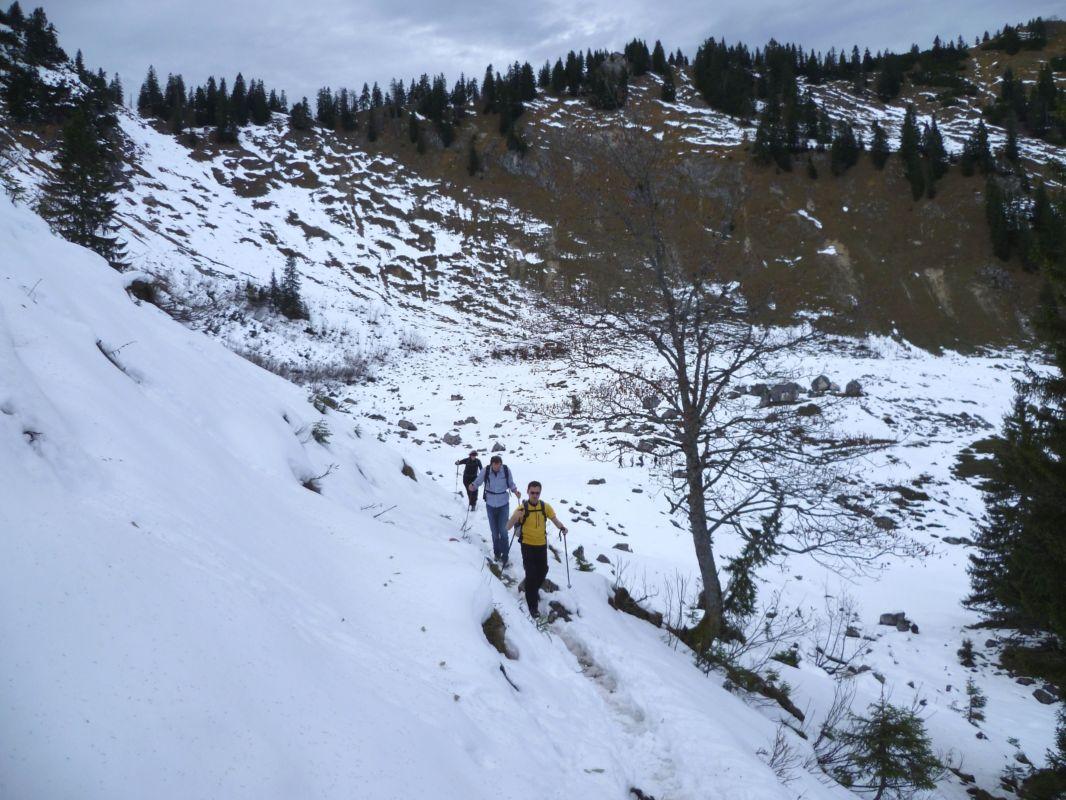 Bild vergr&ouml;ssern