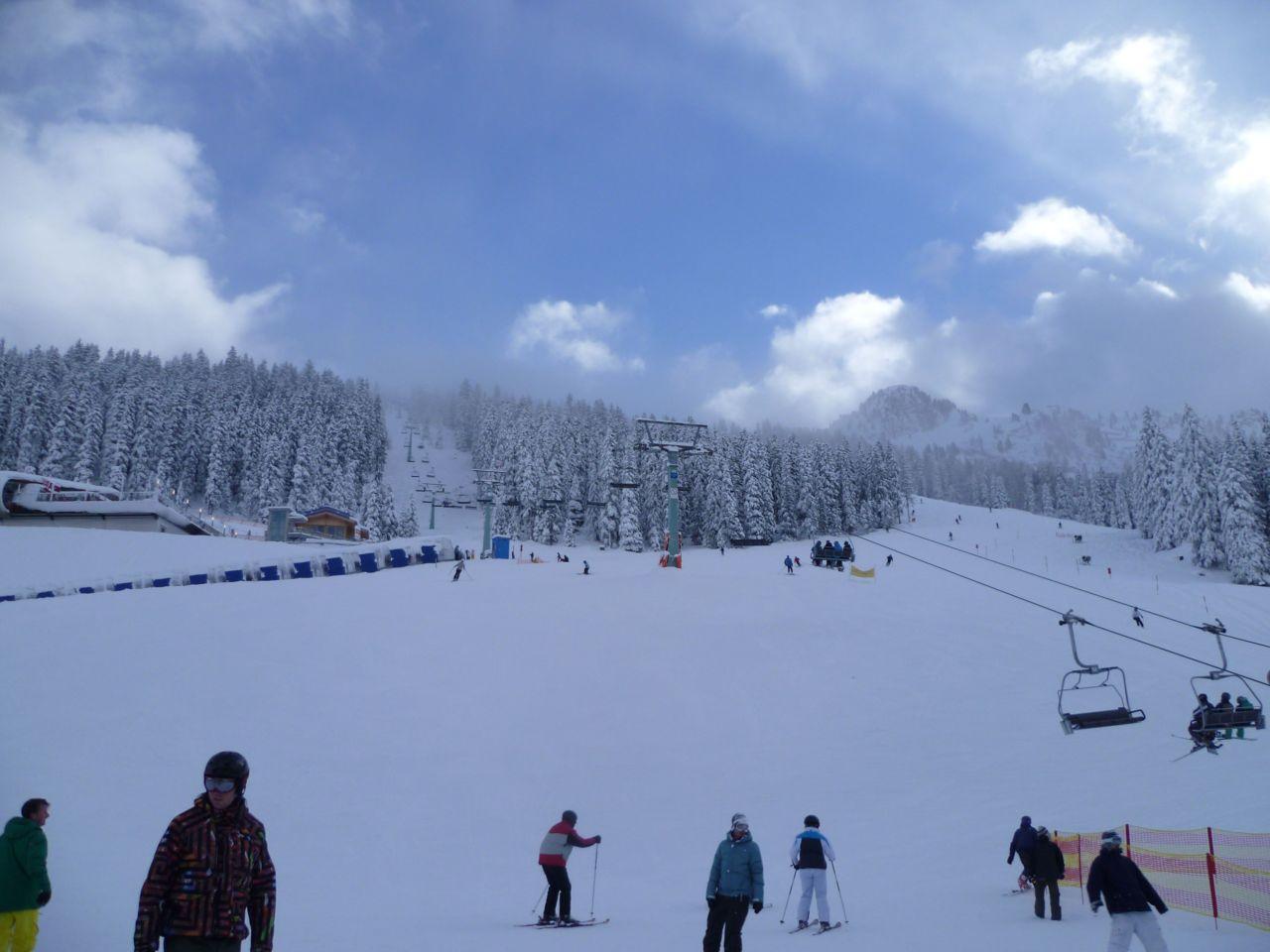 Bild vergr&ouml;ssern