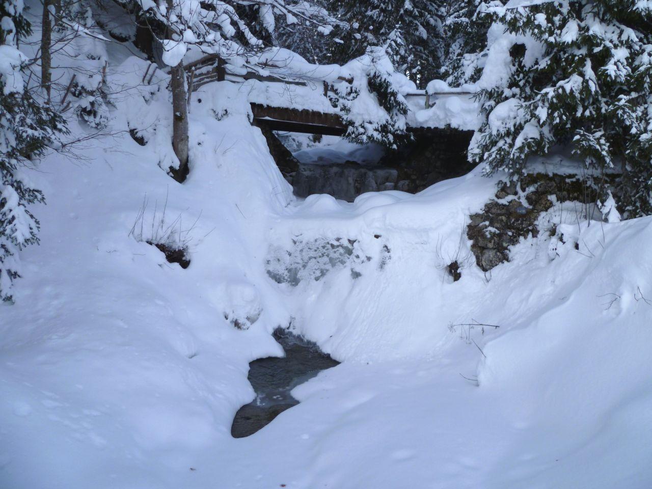 Bild vergr&ouml;ssern