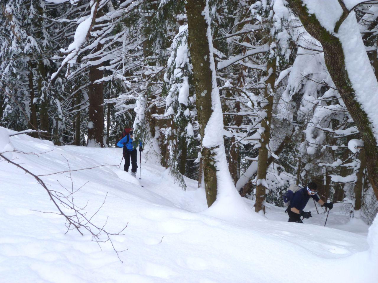 Bild vergr&ouml;ssern