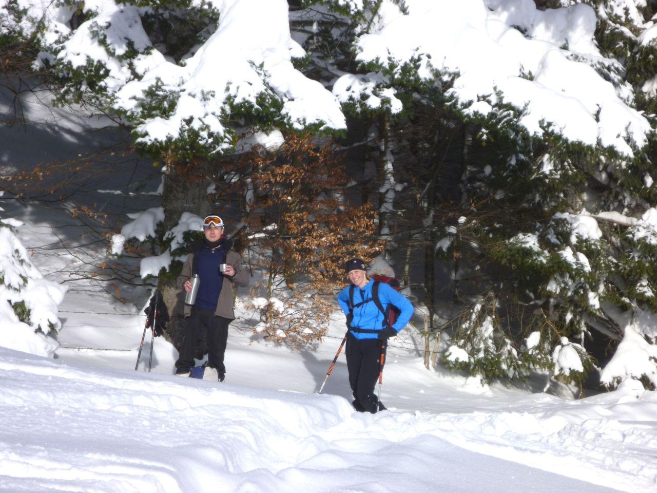 Bild vergr&ouml;ssern