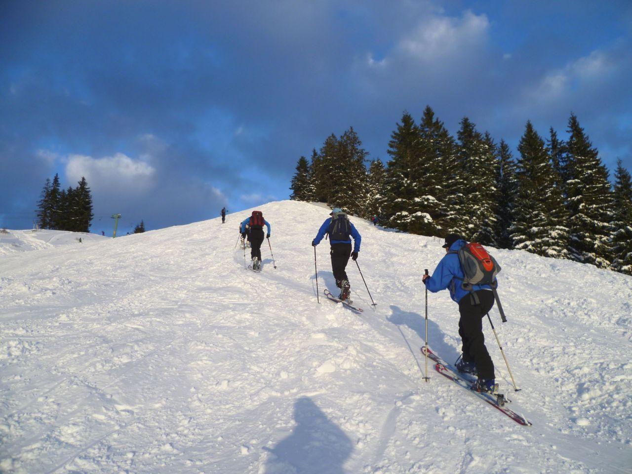 Bild vergr&ouml;ssern