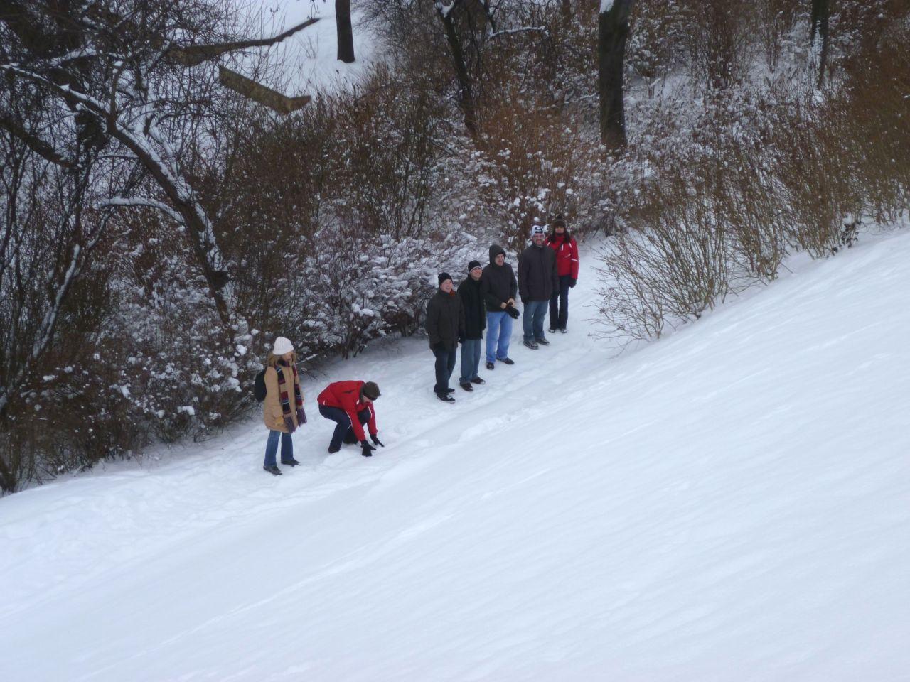 Bild vergr&ouml;ssern