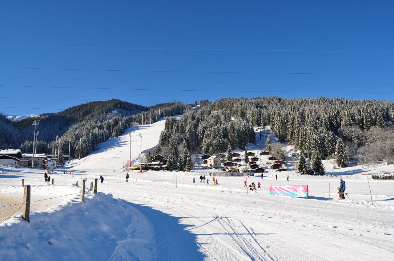 Bild vergr&ouml;ssern