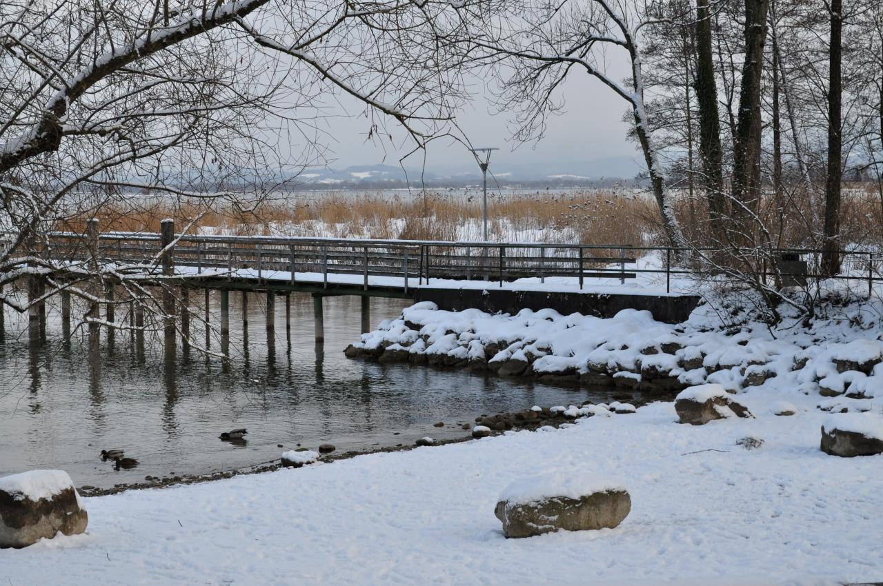 Bild vergr&ouml;ssern