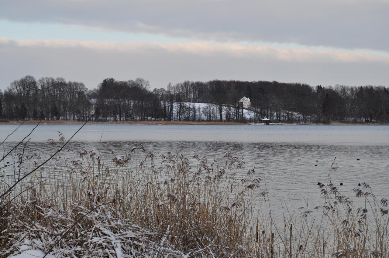 Bild vergr&ouml;ssern