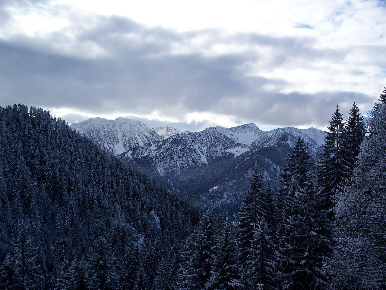 Bild vergr&ouml;ssern