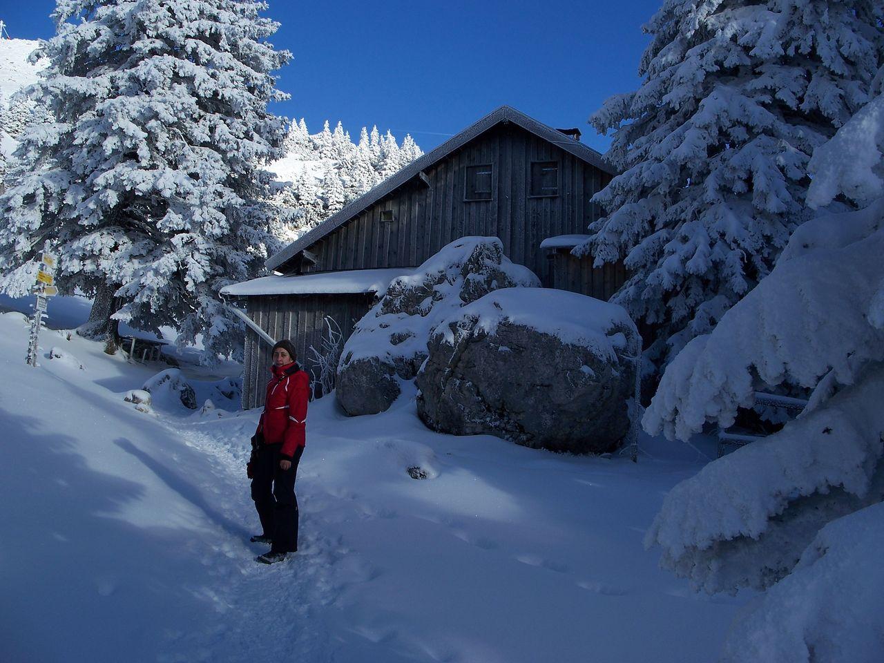 Bild vergr&ouml;ssern