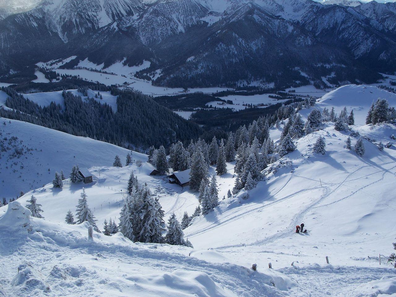 Bild vergr&ouml;ssern