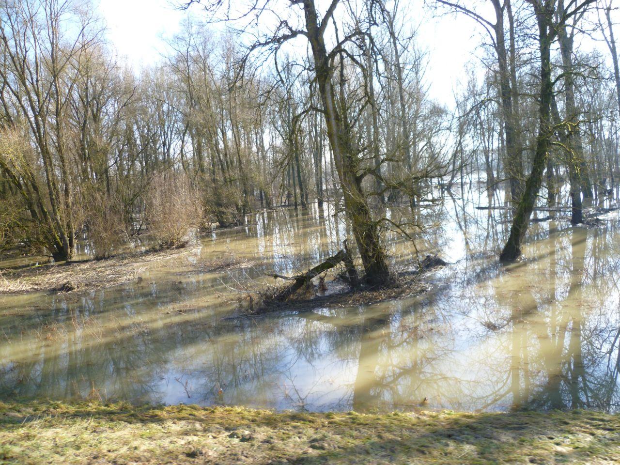 Bild vergr&ouml;ssern