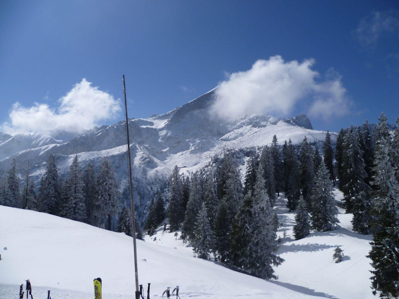 Bild vergr&ouml;ssern