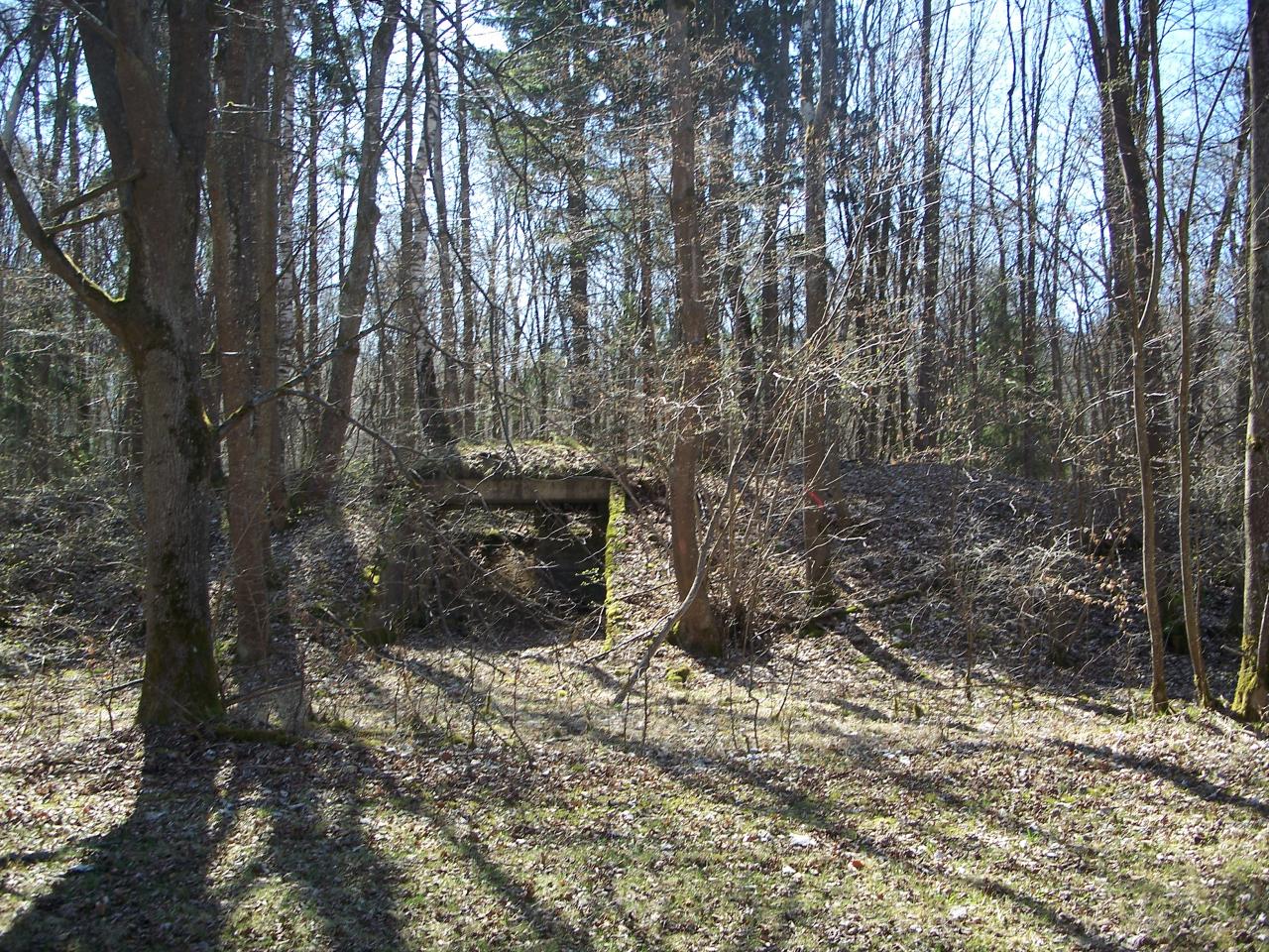 Bild vergr&ouml;ssern