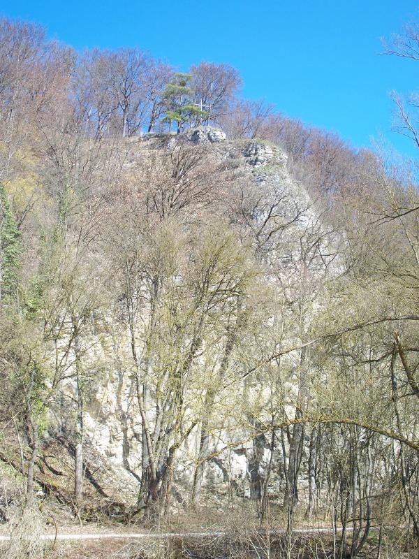 Bild vergr&ouml;ssern