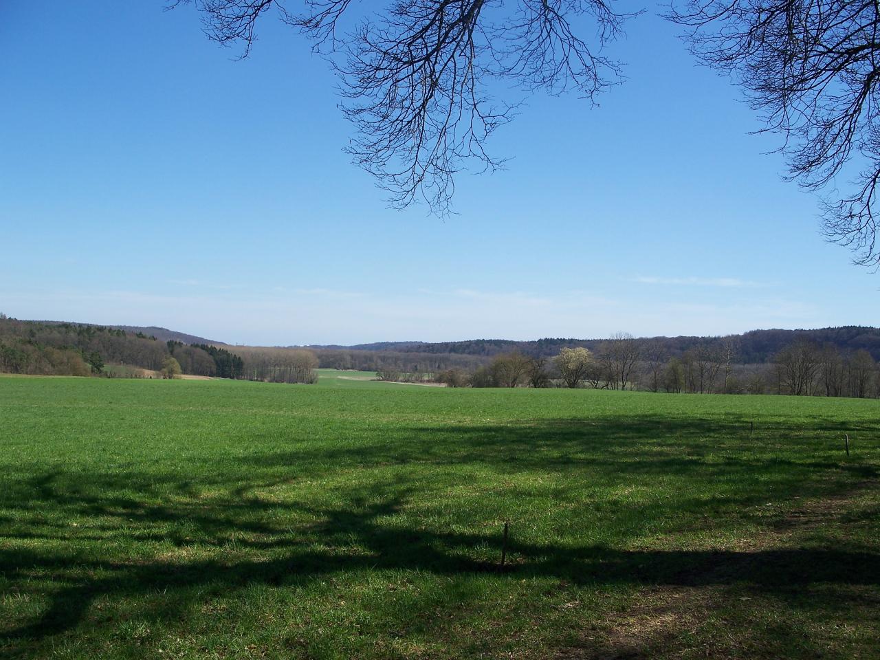 Bild vergr&ouml;ssern