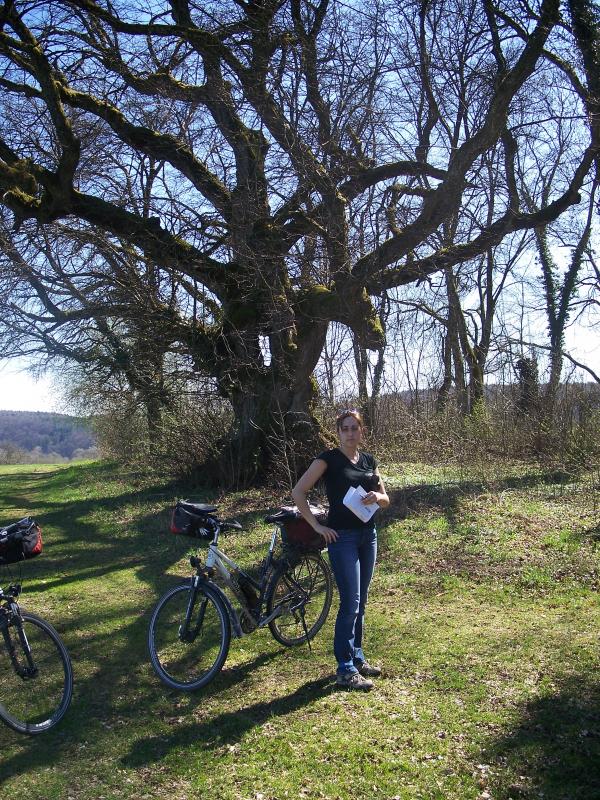 Bild vergr&ouml;ssern