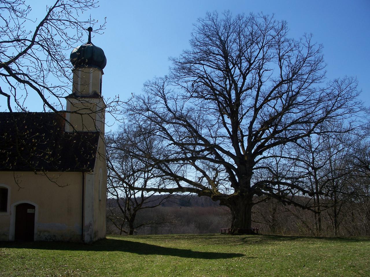 Bild vergr&ouml;ssern