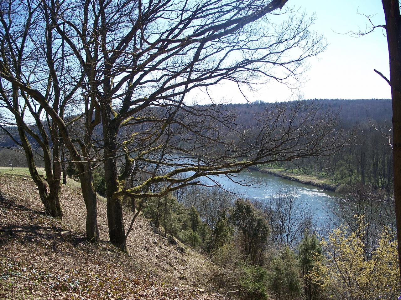 Bild vergr&ouml;ssern