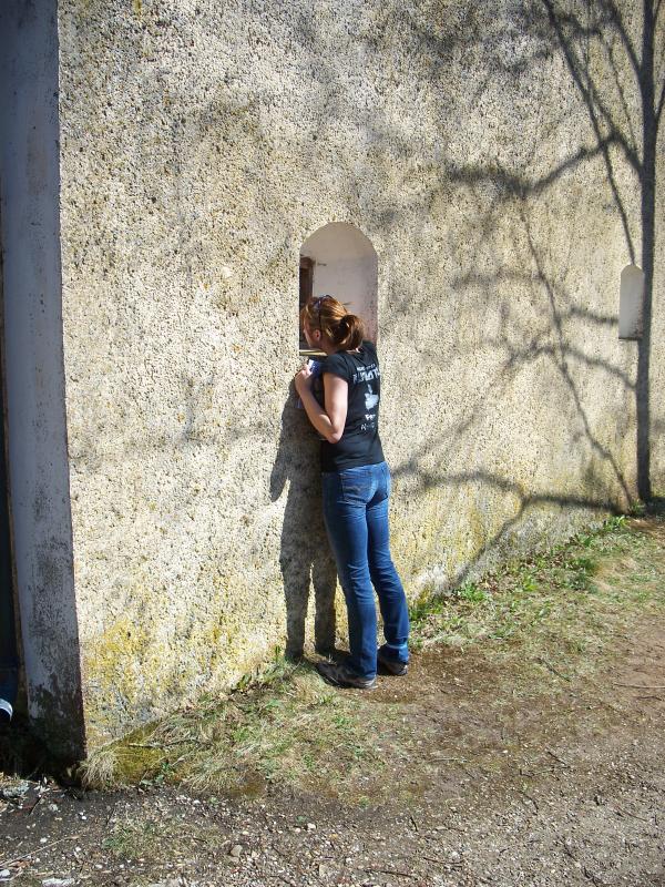 Bild vergr&ouml;ssern