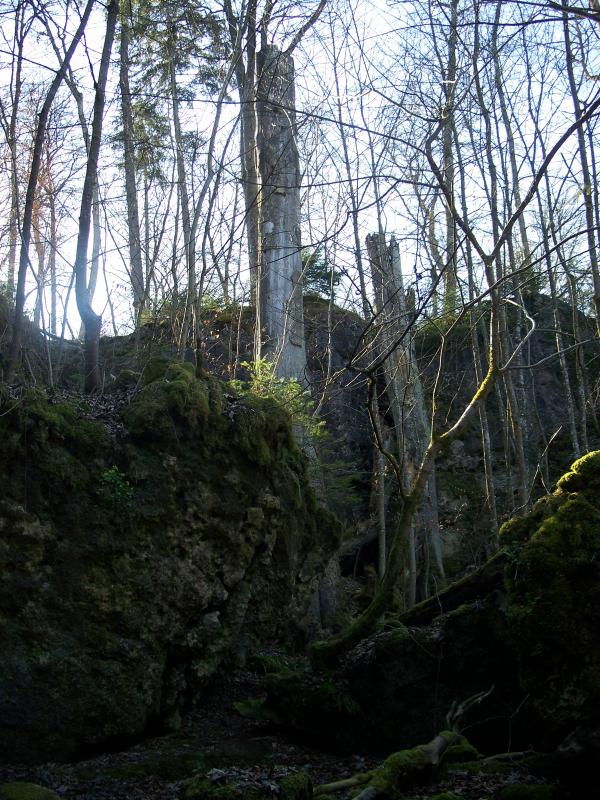 Bild vergr&ouml;ssern