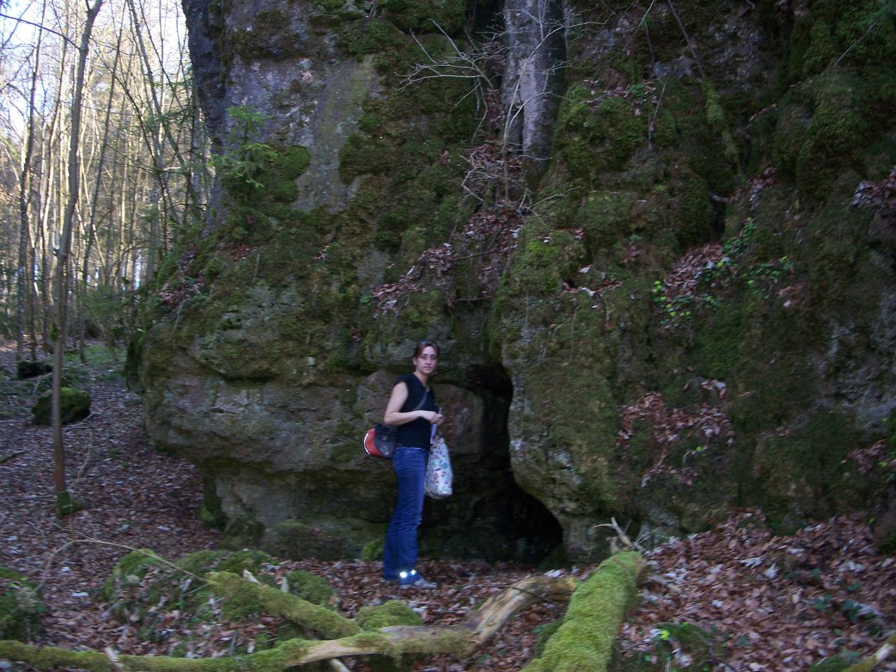 Bild vergr&ouml;ssern