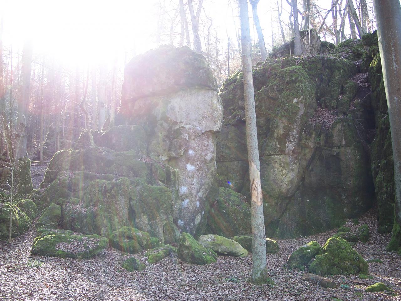 Bild vergr&ouml;ssern