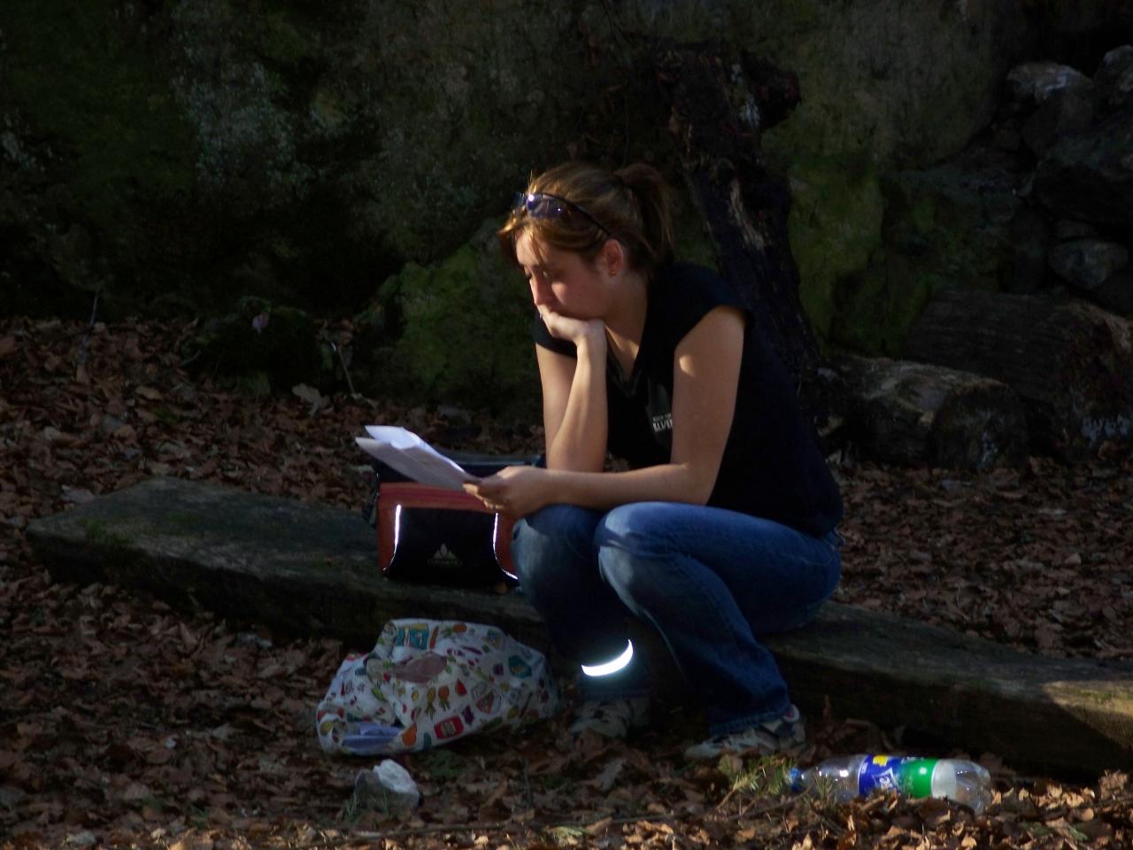 Bild vergr&ouml;ssern