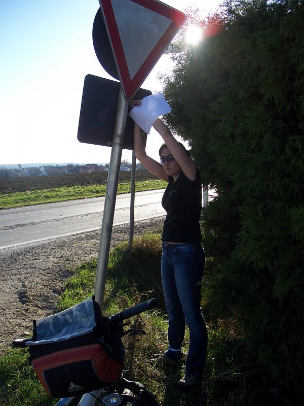 Bild vergr&ouml;ssern