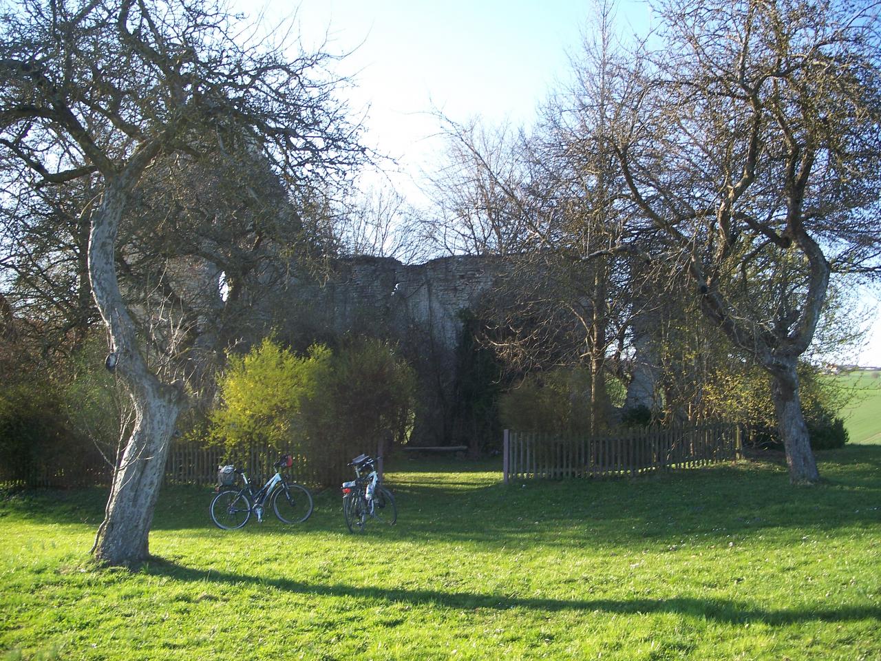 Bild vergr&ouml;ssern