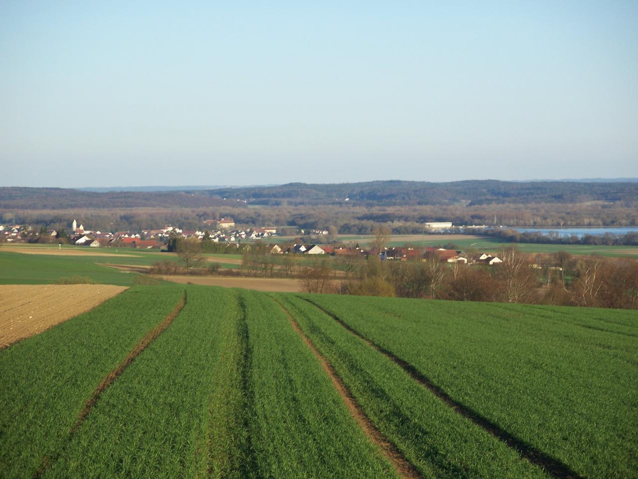 Bild vergr&ouml;ssern