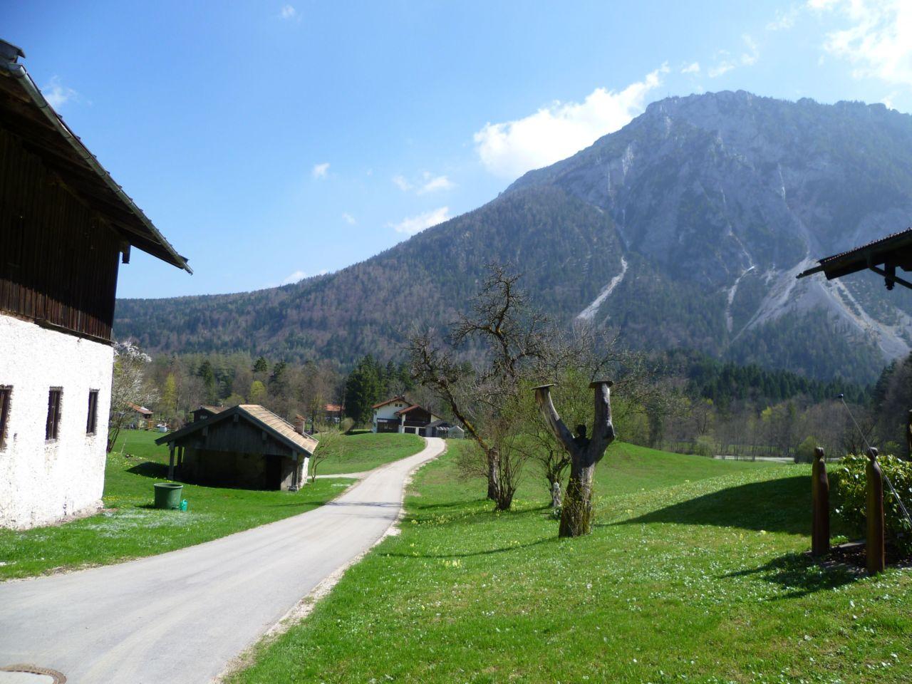 Bild vergr&ouml;ssern