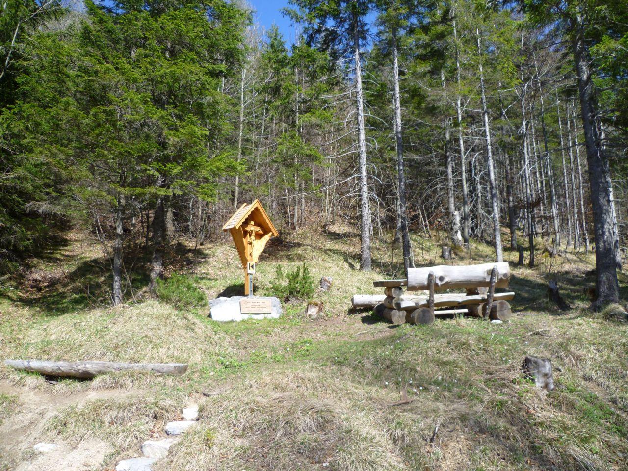 Bild vergr&ouml;ssern