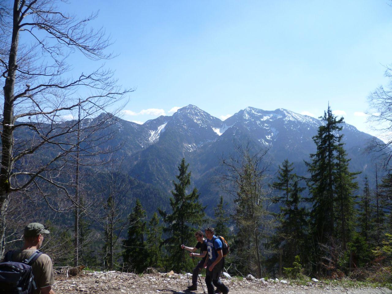 Bild vergr&ouml;ssern