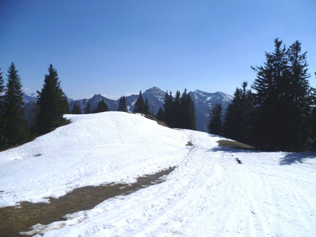 Bild vergr&ouml;ssern