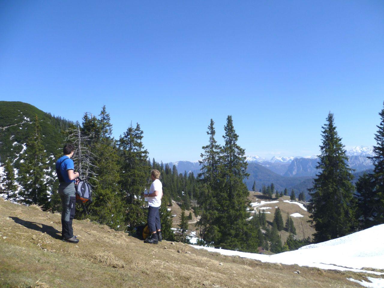 Bild vergr&ouml;ssern