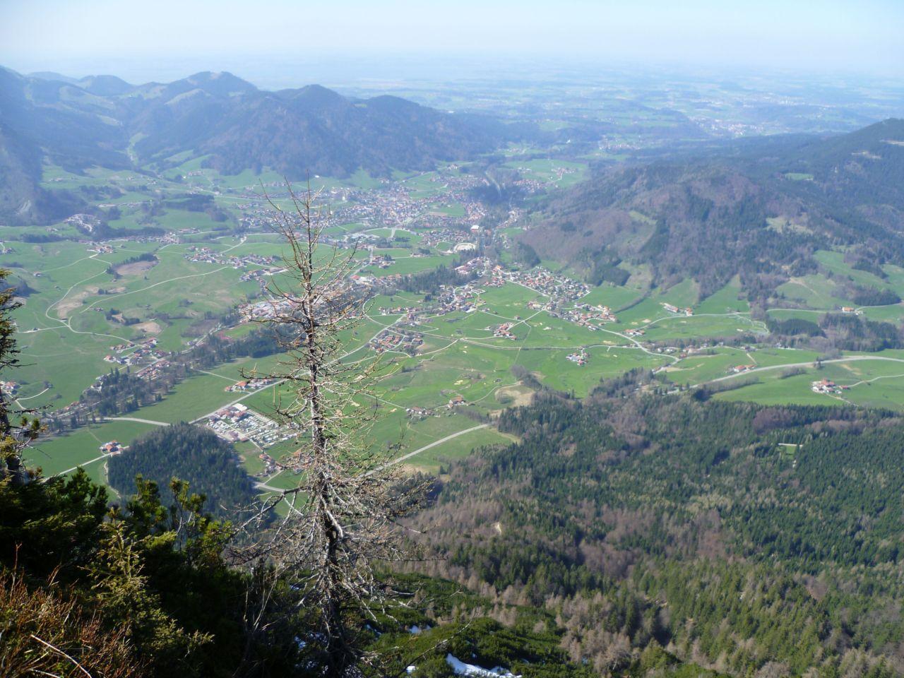 Bild vergr&ouml;ssern