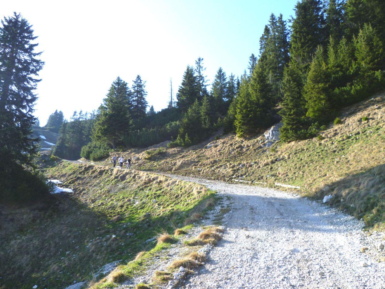 Bild vergr&ouml;ssern