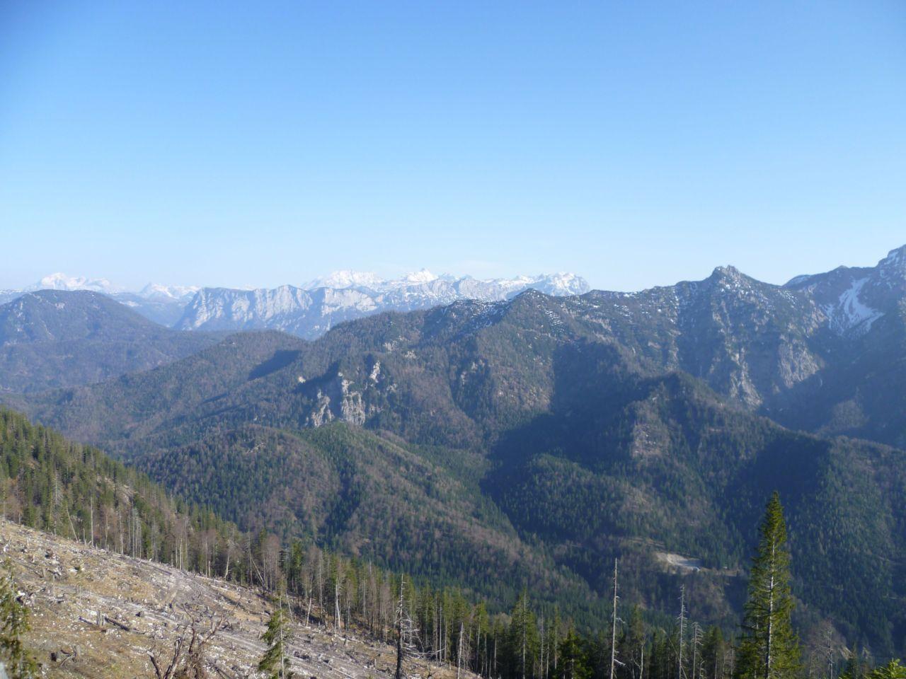 Bild vergr&ouml;ssern