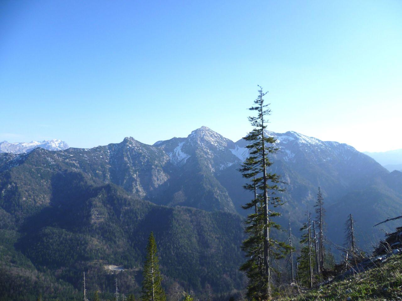 Bild vergr&ouml;ssern