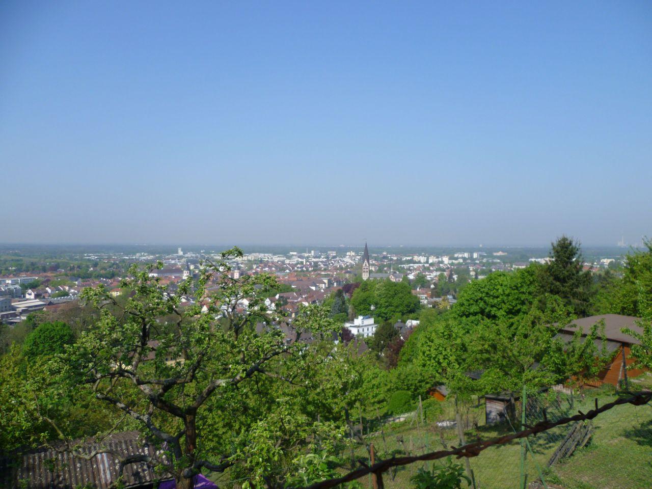 Bild vergr&ouml;ssern