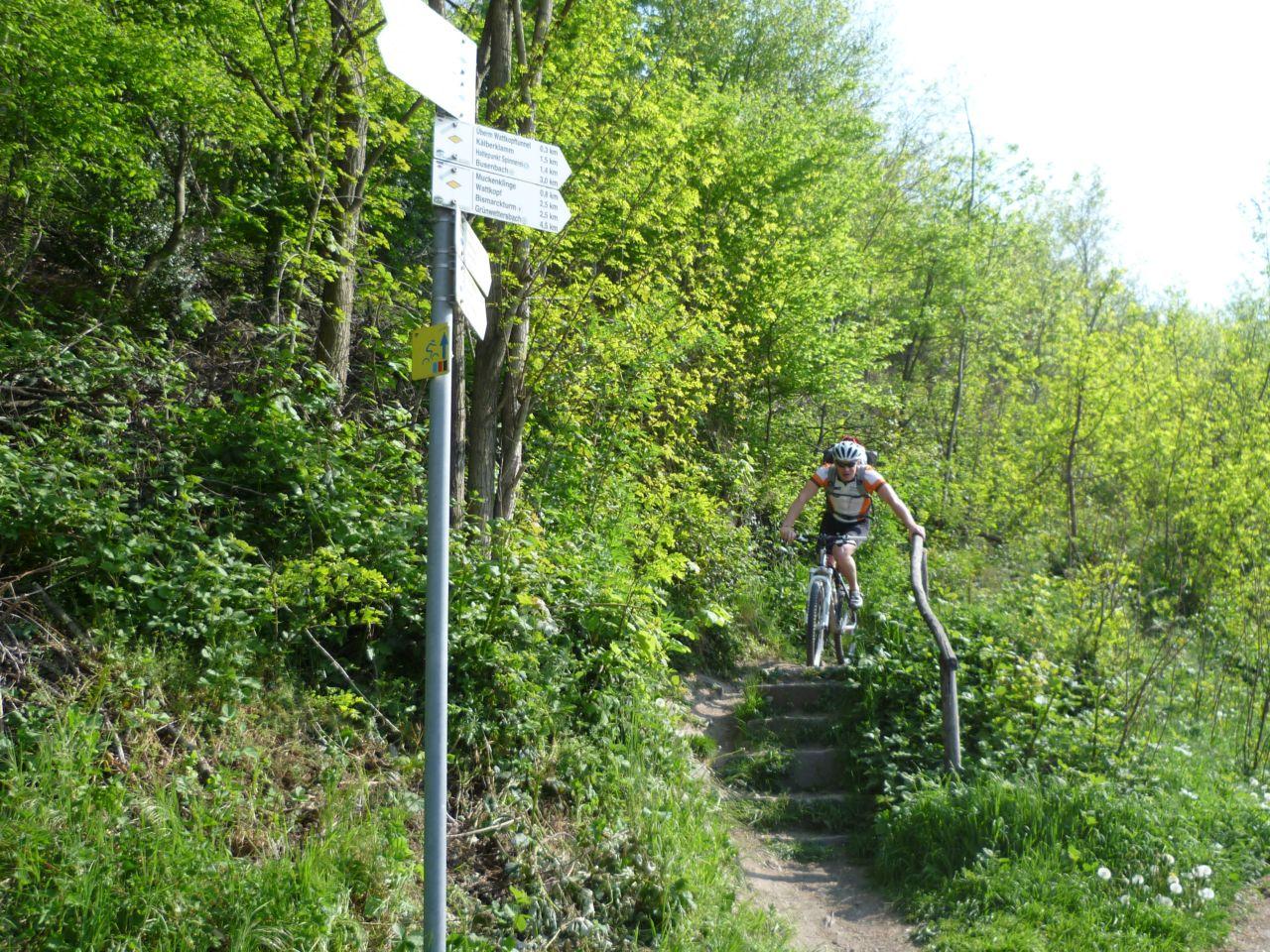 Bild vergr&ouml;ssern