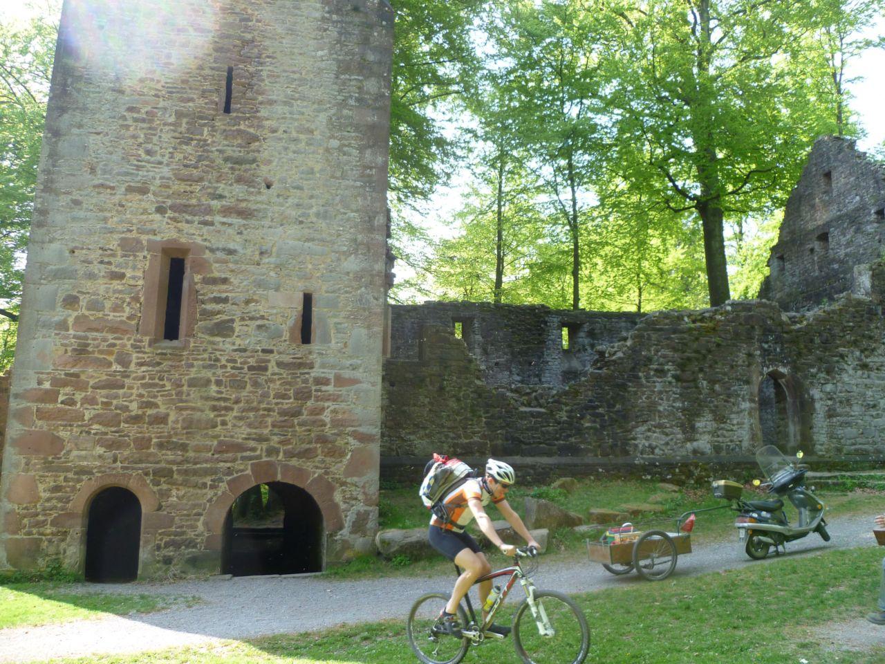 Bild vergr&ouml;ssern