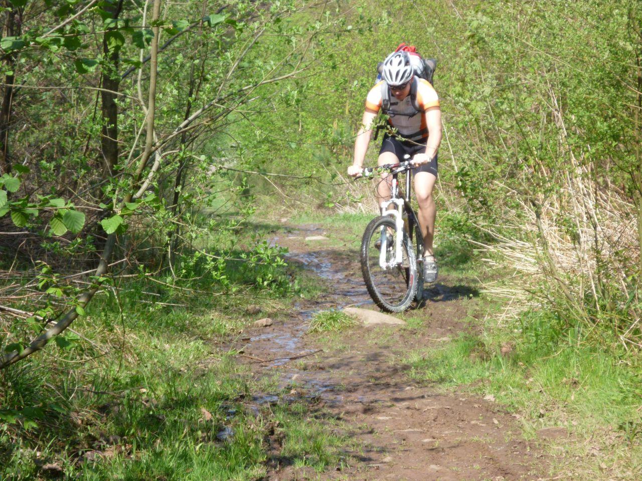 Bild vergr&ouml;ssern