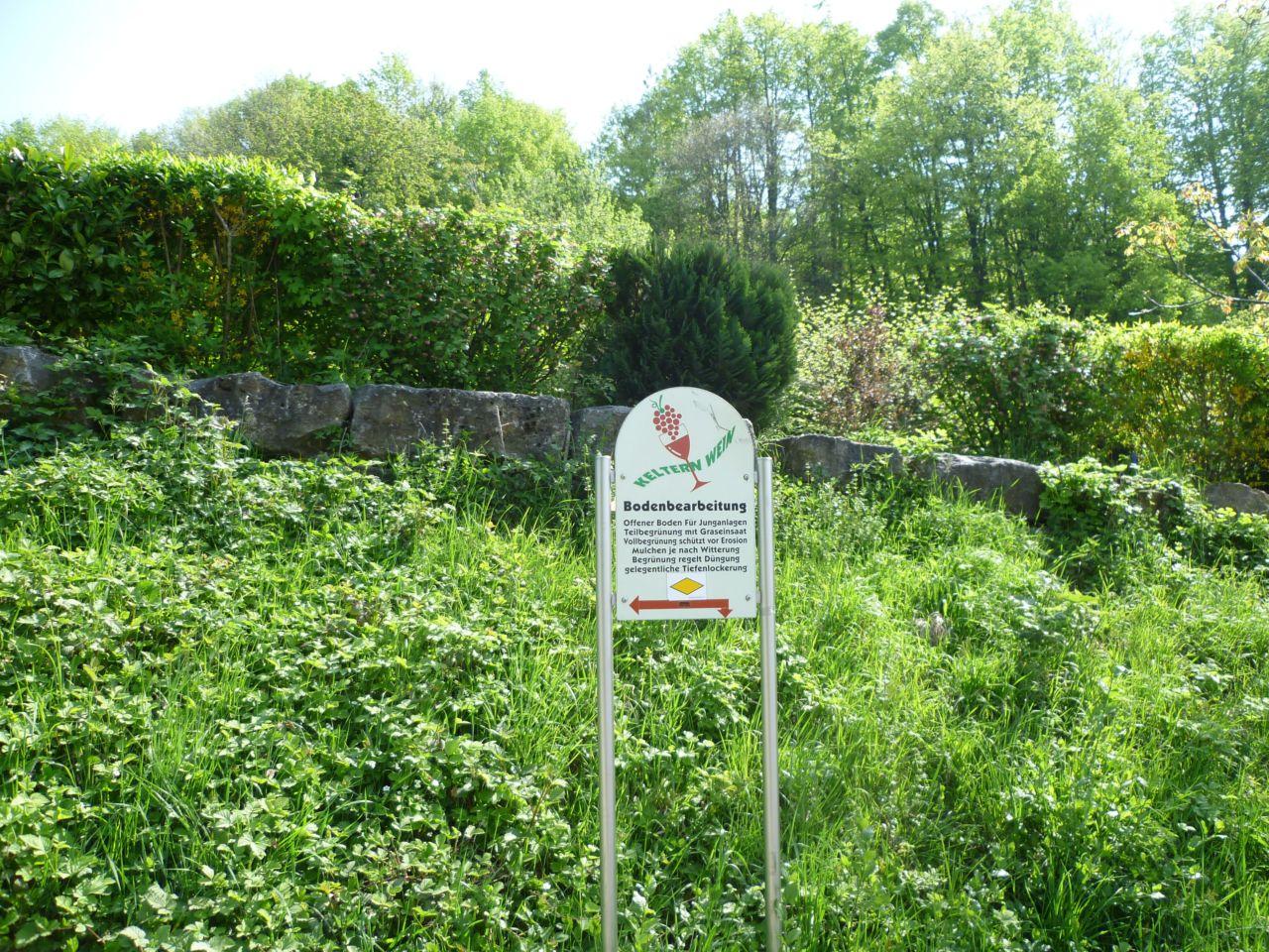 Bild vergr&ouml;ssern