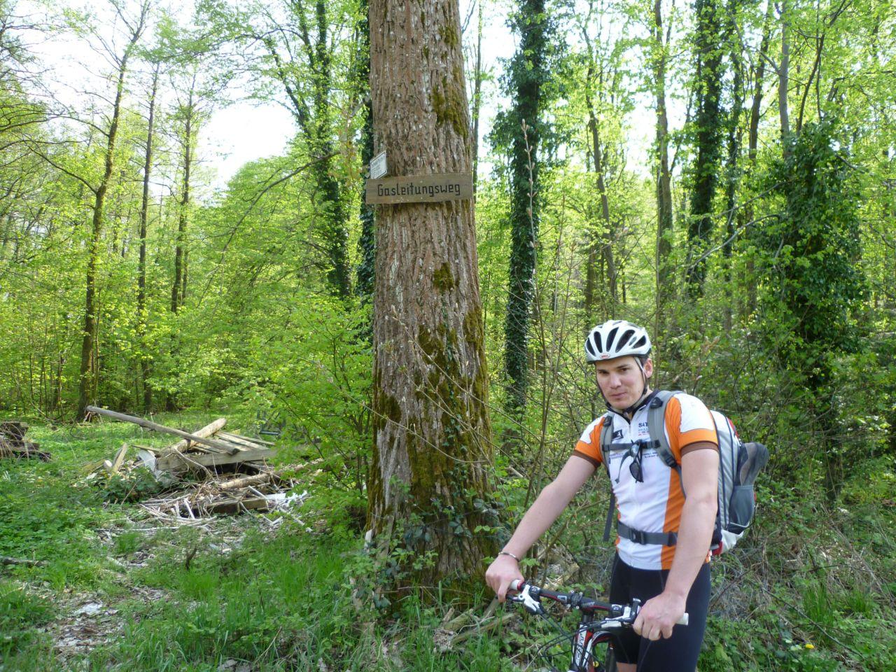 Bild vergr&ouml;ssern