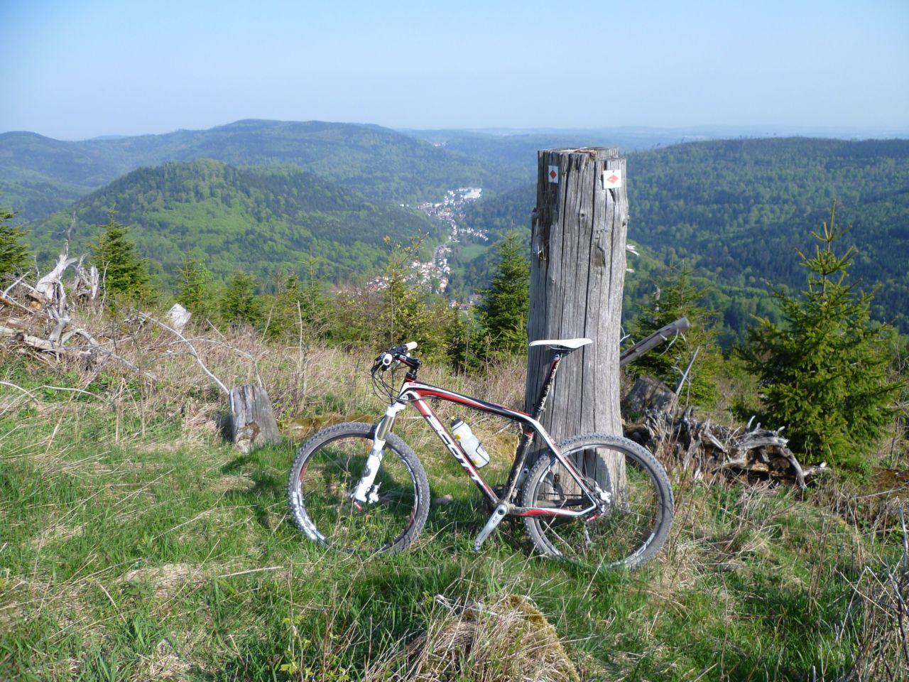 Bild vergr&ouml;ssern