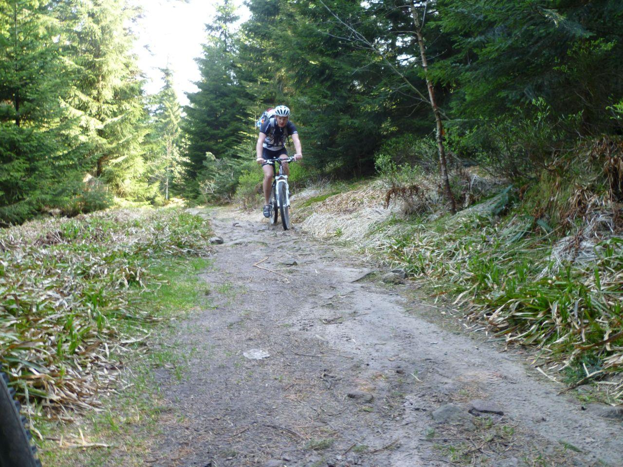 Bild vergr&ouml;ssern