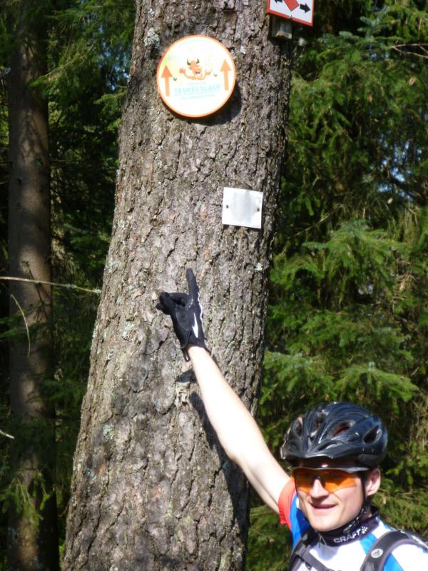 Bild vergr&ouml;ssern