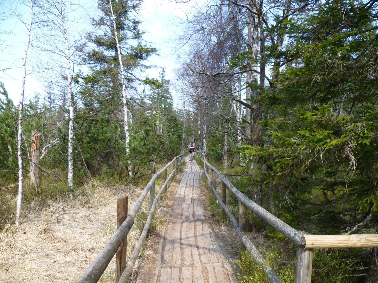 Bild vergr&ouml;ssern