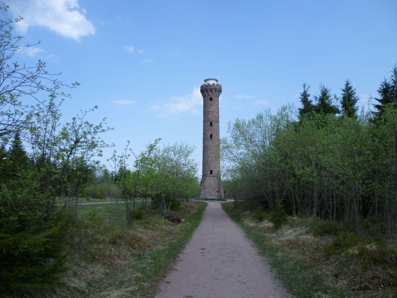 Bild vergr&ouml;ssern