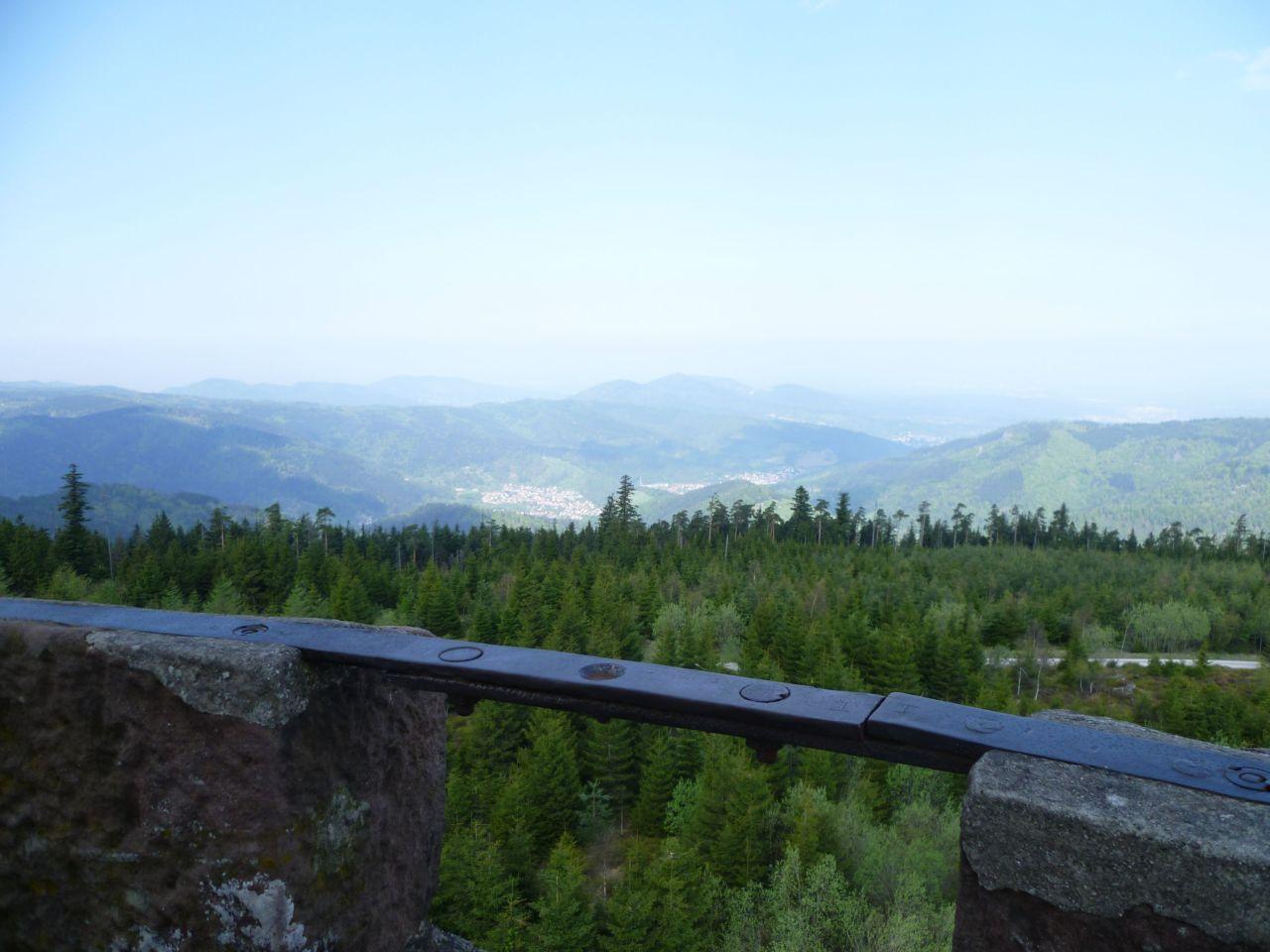 Bild vergr&ouml;ssern